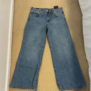 Zara Denim Flare Wide-Leg Jeans